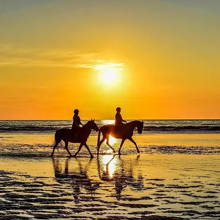 Horizon Bleu דוביל