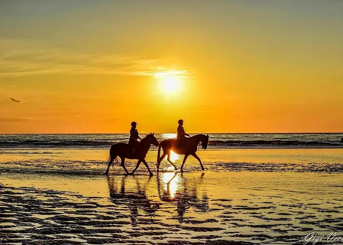 Horizon Bleu Deauville